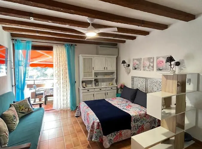 Marine On The Icod De Los Vinos