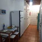 Marine On The Icod De Los Vinos